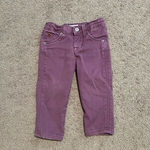 Hudson Purple Pants Size 12 months